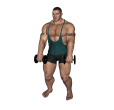Anterior Raise - Two Dumbbell